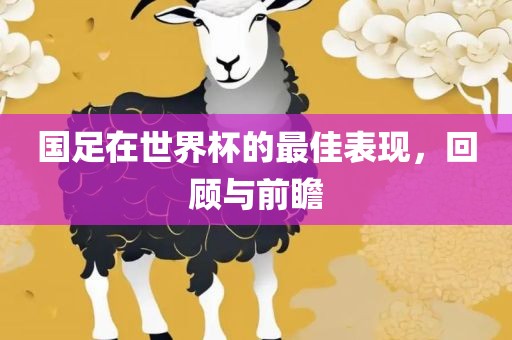 国足在世界杯的最佳表现，回顾与前瞻