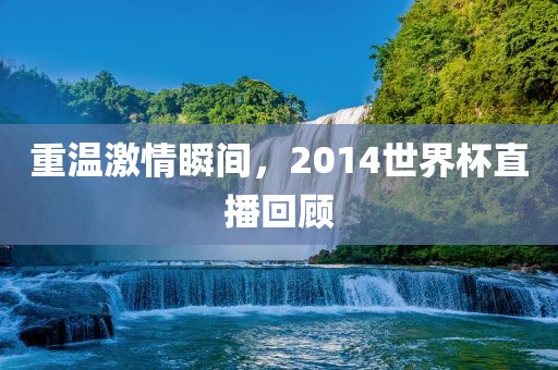 重温激情瞬间，2014世界杯直播回顾