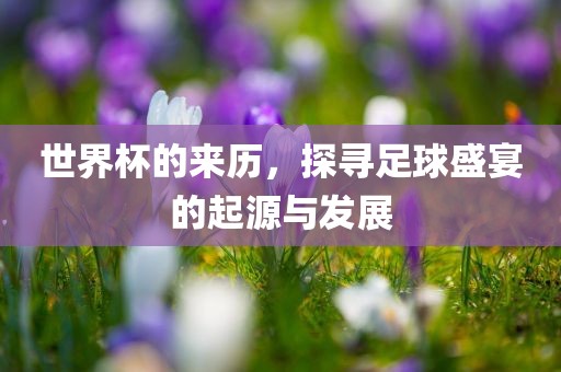 世界杯的来历，探寻足球盛宴的起源与发展