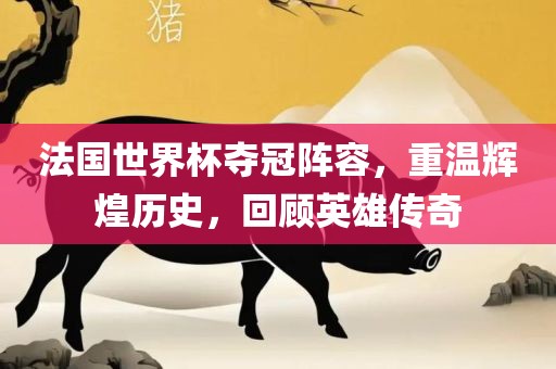 法国世界杯夺冠阵容，重温辉煌历史，回顾英雄传奇