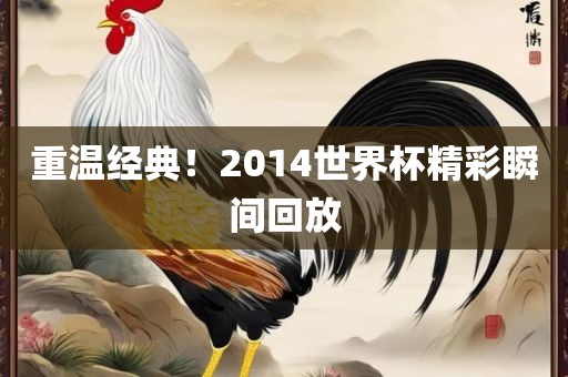 重温经典！2014世界杯精彩瞬间回放
