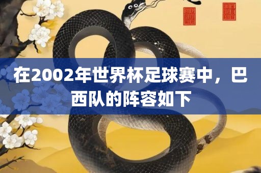 在2002年世界杯足球赛中，巴西队的阵容如下吉安市靖泰电力工程有限公司