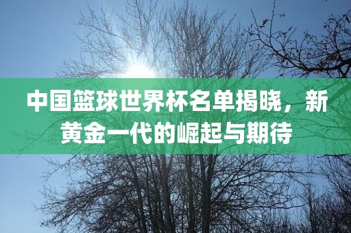 中国篮球世界杯名吉安市靖泰电力工程有限公司单揭晓，新黄金一代的崛起与期待