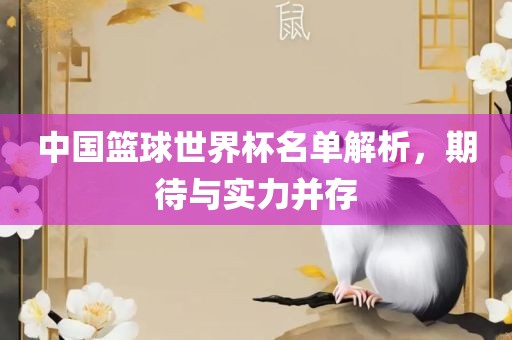 中国篮球世界杯名单解析，期待与实力并存