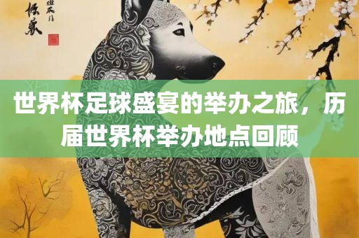 世界杯足球盛宴的举办之旅，历届世界杯举办地点回顾吉安市靖泰电力工程有限公司