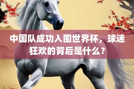 中国队成功入围世界杯，球迷狂欢的背后是什么？吉安市靖泰电力工程有限公司