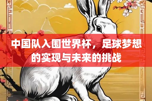 中国队入围世界杯，足球梦想的实现与未来的挑战吉安市靖泰电力工程有限公司
