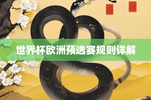 世界杯欧洲预选赛规则详解