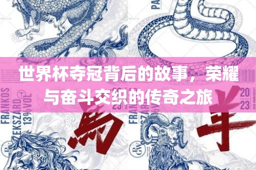 世界杯夺冠背后的故事，荣耀与奋斗交织的传奇之旅