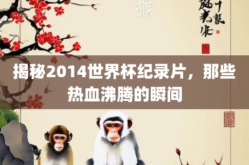 揭秘2014世界杯纪录片，那些热血沸腾的瞬间