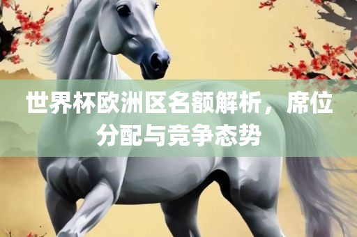 世界杯欧洲区名额解析，席位分配与竞争态势