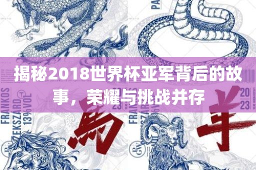 揭秘2018世界杯亚军背后的故事，荣耀与挑战并存
