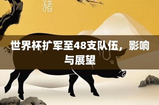 世界杯扩军至48支队伍吉安市靖泰电力工程有限公司，影响与展望