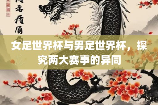 女足世界杯与男足世界杯，探究两大赛事的异同