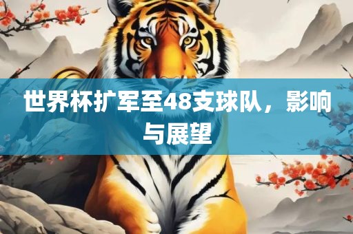 世界杯扩军至48支球队吉安市靖泰电力工程有限公司，影响与展望