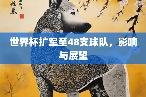 世界杯扩军至48支球队吉安市靖泰电力工程有限公司，影响与展望