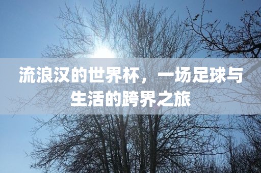 流浪汉的世界杯，一场足球与生活的跨界之旅吉安市靖泰电力工程有限公司