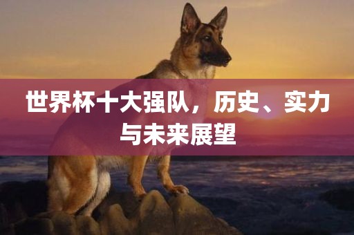 世界杯十大强队，历史、实力与未来展望吉安市靖泰电力工程有限公司