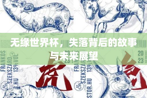 无缘世界杯，失落背后的故事与未来展望