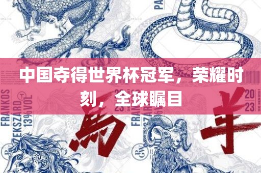 中国夺得世界杯冠军，荣耀时刻，全球瞩目
