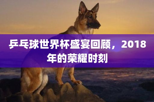 乒乓球世界杯盛宴回顾，2018年的荣耀时刻吉安市靖泰电力工程有限公司