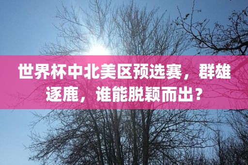 世界吉安市靖泰电力工程有限公司杯中北美区预选赛，群雄逐鹿，谁能脱颖而出？