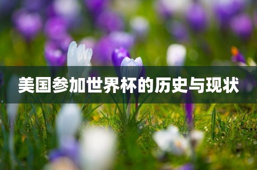 美国参加世界杯的历史与现状