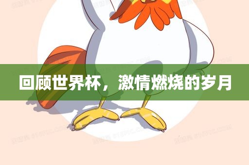 回顾世界杯，激情燃烧的岁月