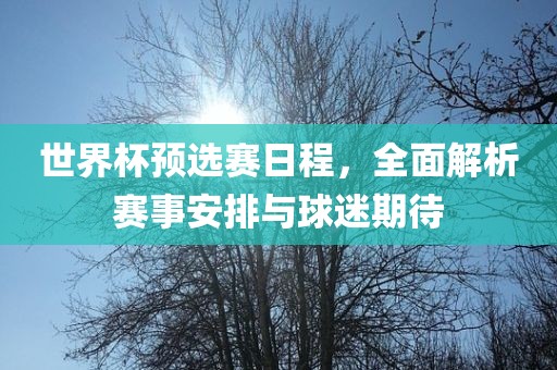 世界杯预选赛日程，全面解析赛事安排与球迷期待