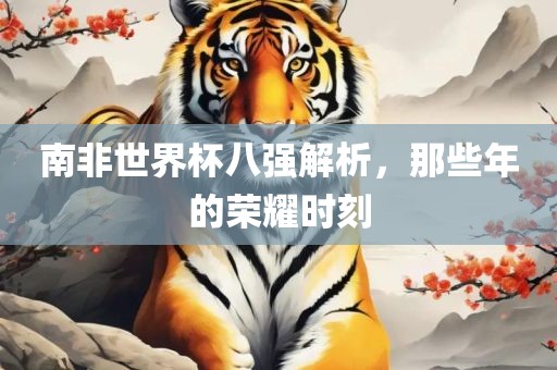 南非世界杯八强解析，那些年的荣耀时刻