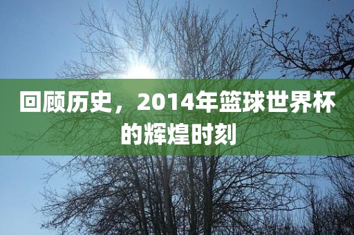 回顾历史，2014年篮球世界杯的辉煌时刻吉安市靖泰电力工程有限公司