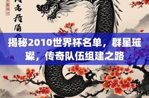 揭秘2010世界杯名单，群星璀璨，传奇队伍组建之路