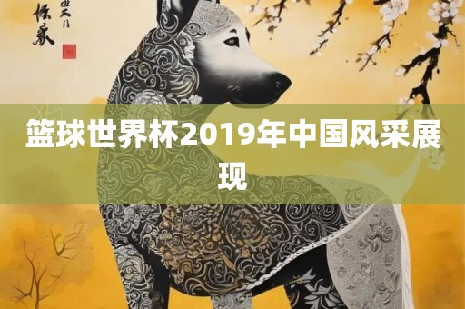 篮球世界杯2019年中国风采展现