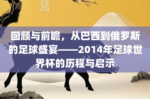 回顾与前瞻，从巴西到俄罗斯的足球盛宴——2014年足球世界杯的历程与启示