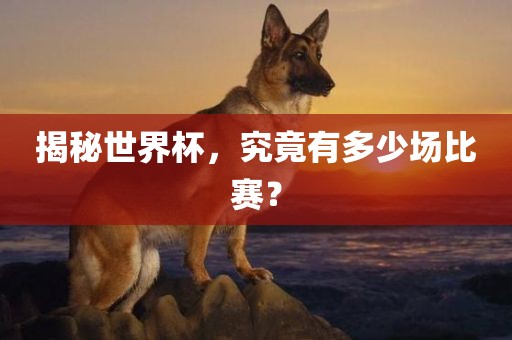 揭秘世界杯，究竟有多少场比赛？吉安市靖泰电力工程有限公司