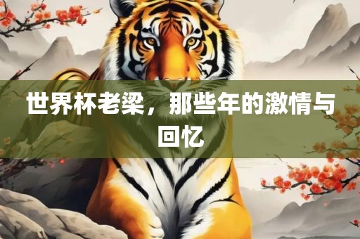 世界杯老梁，那些年的激情与回忆