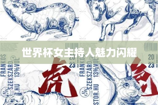 世界杯女主持人魅力闪耀