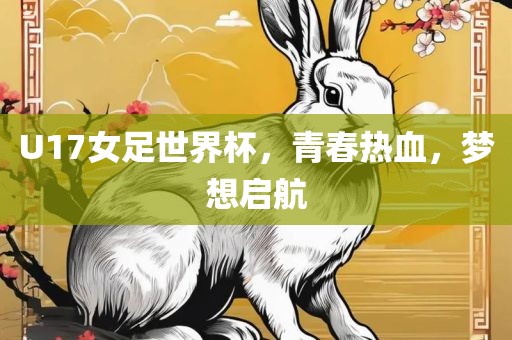 U17女足世界杯，青春热血，梦想启航