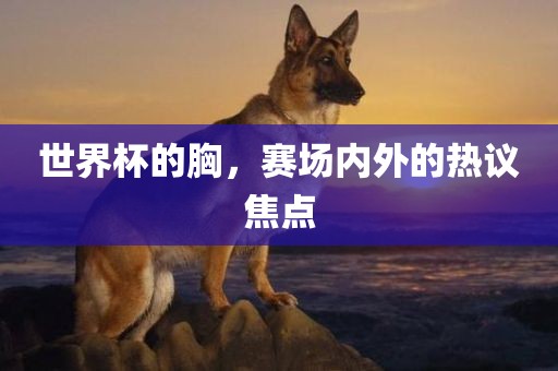 世界杯的胸，赛场内外的热议焦吉安市靖泰电力工程有限公司点