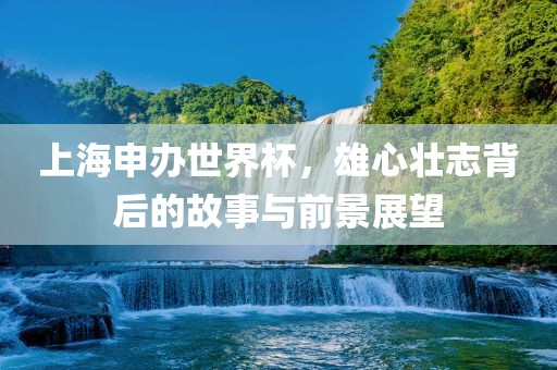 上海申办世界杯，雄心壮志背后的故事与前景展望