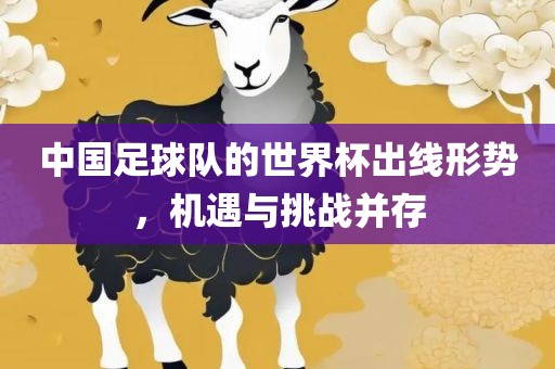 中国足球队的世界杯出线形势，机遇与挑战并存