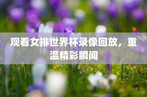 观看女排世界杯录像回放，重温精彩瞬间吉安市靖泰电力工程有限公司