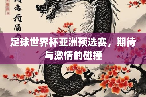 足球世界杯亚洲预选赛，期待与激情的碰撞