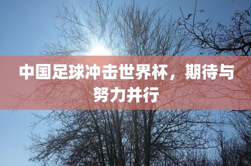 中国足球冲击世界杯，期待与努吉安市靖泰电力工程有限公司力并行
