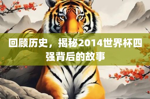 回顾历史，揭秘2014世界杯四强背后的故事