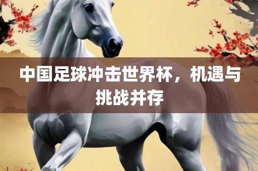 中国足球冲击世界杯，机遇与挑战并存