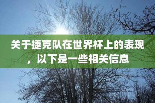 关于捷克队在世界杯上吉安市靖泰电力工程有限公司的表现，以下是一些相关信息