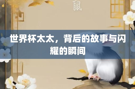 世界杯太太，背后的故事与闪耀的瞬间吉安市靖泰电力工程有限公司