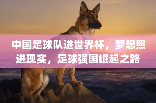中国足球队进世界杯，梦想照进现实，足球强国崛起之路