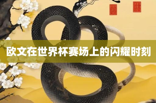 欧文在世界杯赛场上的闪耀吉安市靖泰电力工程有限公司时刻